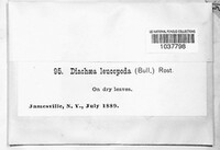 Image Associated With the Occurence